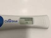 Ну все, дождались свои // 🤰🏻