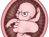 Шевеления 🤰