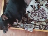 Эко.обьясните