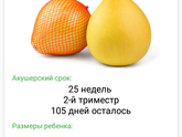 Фотография 2020-05-07 21:18:00
