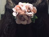 🎀🎀🎀
