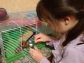 Предновогодний марафон 2019 на английский алфавит. Ире 8 лет.