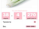 На какой неделе родили