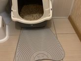 Всем у кого есть коты/кошки