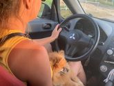 Выдался мне опыт ухода