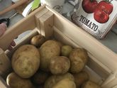 Система хранения в ящике с овощами и фруктами в холодильнике