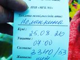 [25.08,