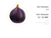 У кого есть это