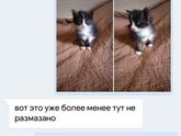 Не делай добра не получишь зла)