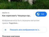 Девочки есть кто понимает в породах собачек ?