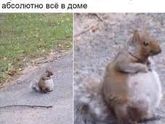 Это прям мое состояние за последние несколько дней🤣🤣🤣🤦♀️