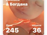 Пошла 36 неделя