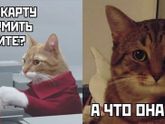Жиза)) ?