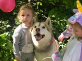 Обожает собак 🧸
