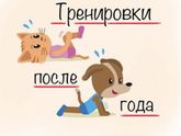 Тренировки после года