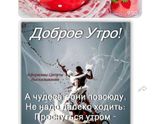 Тетя шлёт много картинок