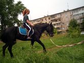 Друзья, на завтра есть