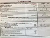 Добрый день.