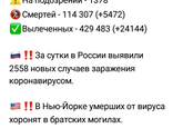 Фотография 2020-04-13 22:31:36