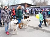 Первомай с собакой