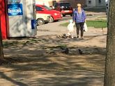 Харьков. Дворец Спорта. Мамы будьте осторожны.