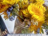Приму в дар