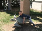 Дети коты??