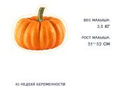 Уже 40 недель