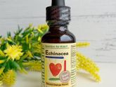 echinacea, natural orange Где храните??? Вопрос по ГВ