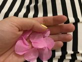 It’s a girl ?