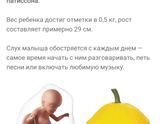 6й месяц ?
