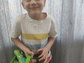 О собаках