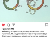 Генетик в Москве (мозаичный эмбрион)
