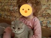 Прически девочкам в сад.
