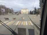 Наш нижний Тагил.