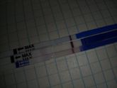 Сходила утром за заказом
