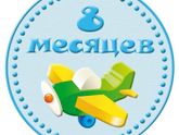 8 месяцев ???.