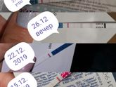 Динамика теста на беременность,