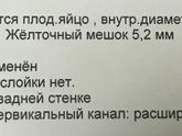 Перепугалась