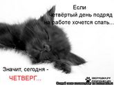 Сонный четверг...