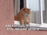 Я на НГ ?