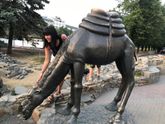 Погостили мы в Че