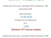 ХГЧ выше нормы?