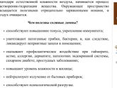 Солевая лампа