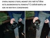 #добро