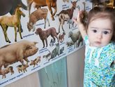Про нас, про игрушки ,про развитие детей
