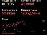 29.08 силовая ягодицы