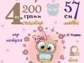 Метрика на заказ.