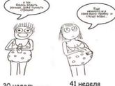 все мы немного Люси ?