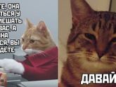 Жиза)) ?
